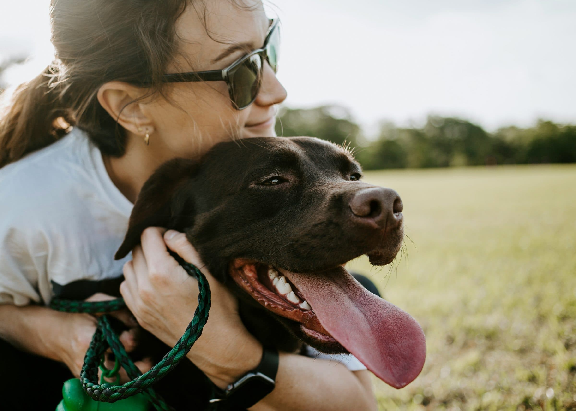 Een vrouw met zonnebril knuffelt haar bruine labrador in het gras